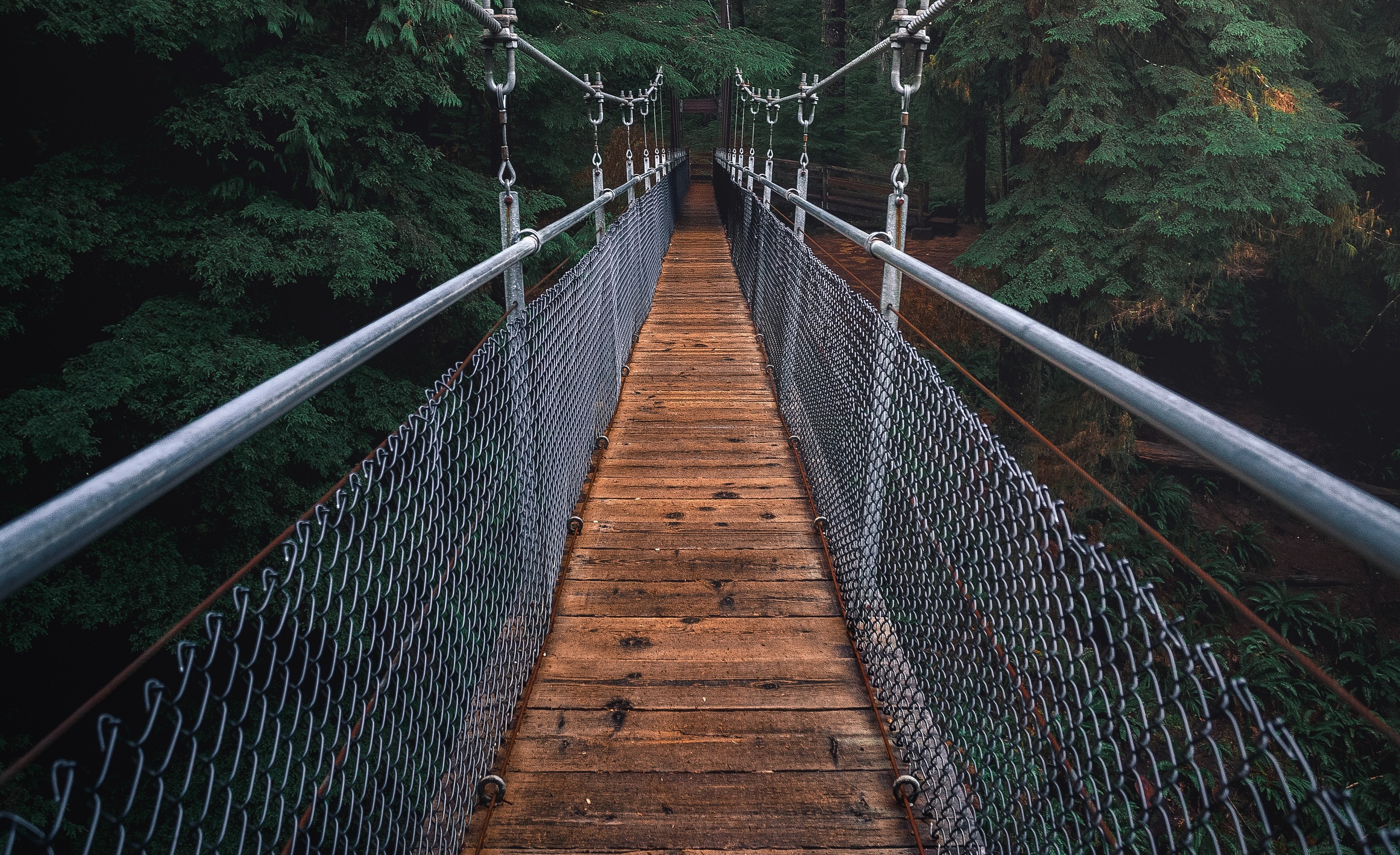 ponte de madeira sobre vão